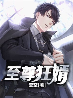 至尊狂婿林栋沈心若