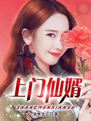 上门仙婿