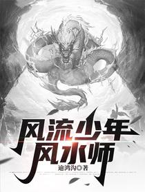 风流少年风水师